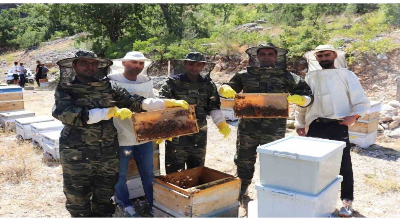 Kemahta arıcıların bal hasadı