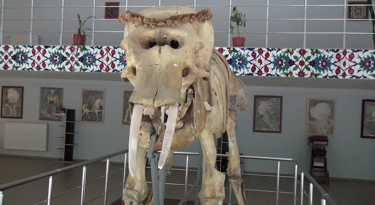 Kemaliyedeki müzede bulunan objeler arşivlendi