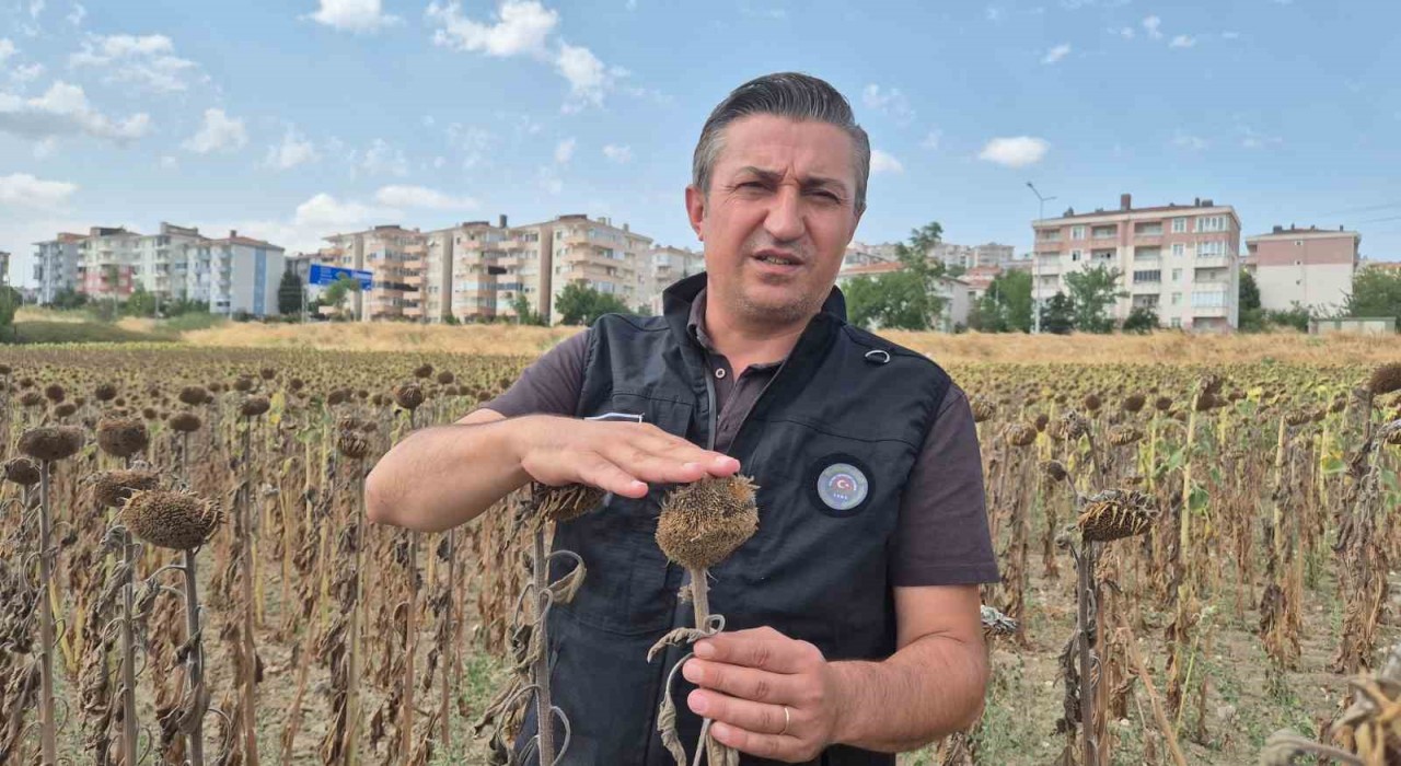 Kendilerine kepçeyle, çiftçiye çay kaşığıyla: Trakya Birlike tepki büyüyor