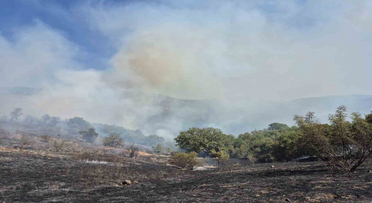 Kepsutta orman yangını