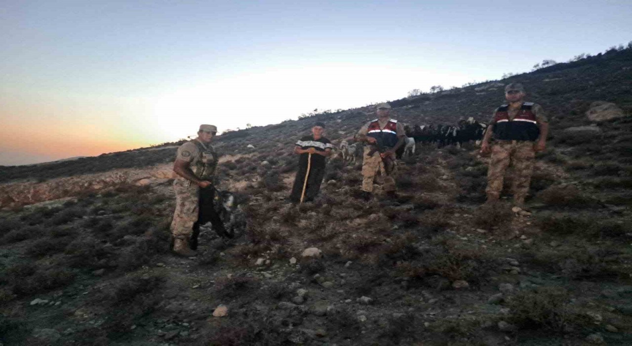 Kiliste kaybolan 26 küçükbaş hayvan bulundu