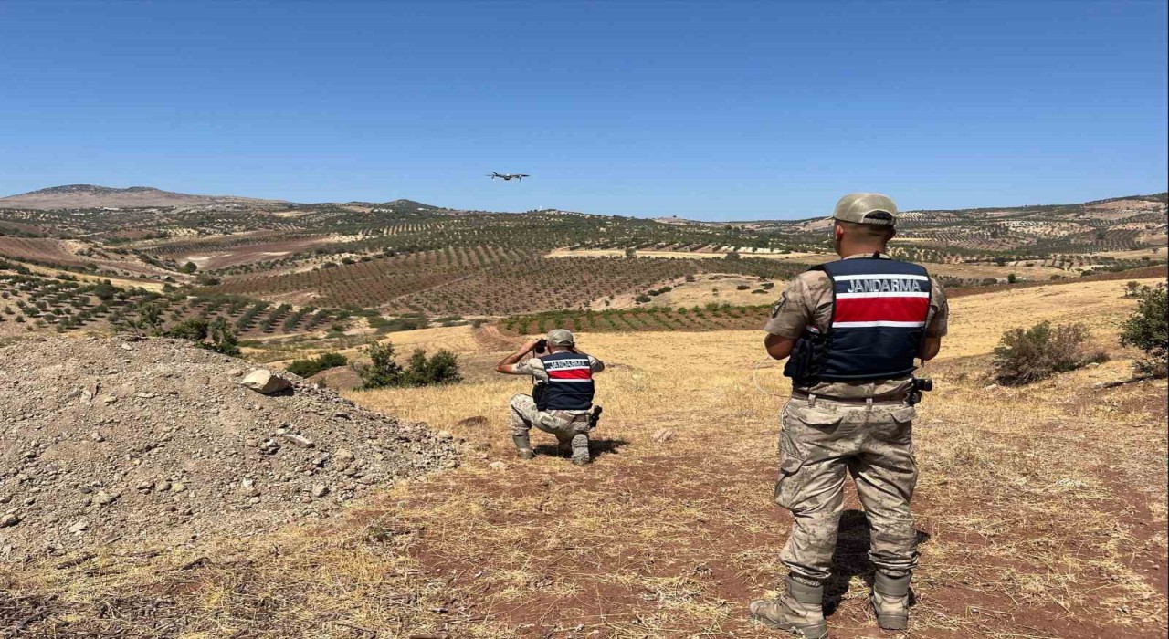 Kiliste kaybolan küçükbaş hayvanlar bulundu
