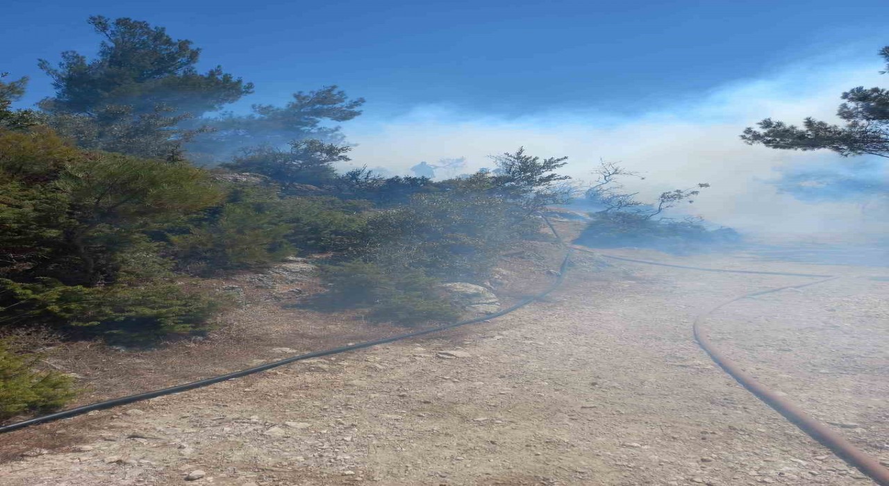 Kırkağaçta orman yangını kısa sürede kontrol altına alındı