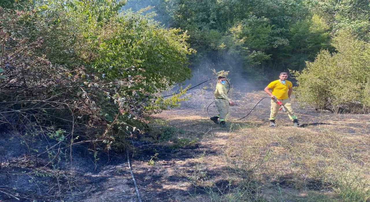 Kırklarelide orman yangını