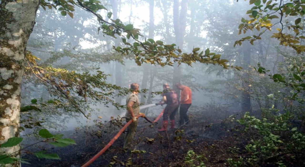 Kırklarelide orman yangını kısa sürede söndürüldü