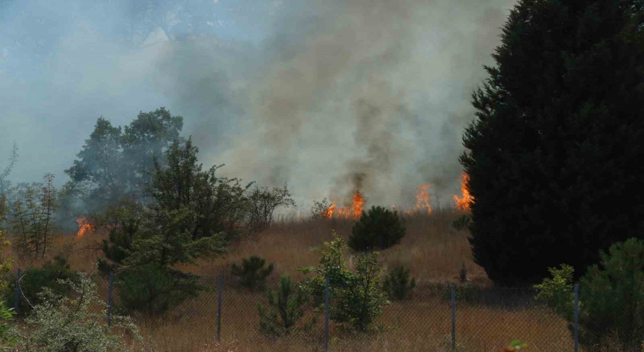 Kırklarelinde anızlık alanda çıkan yangın ağaçlık alana sıçradı: Avrupa otoyolu ulaşıma kapandı