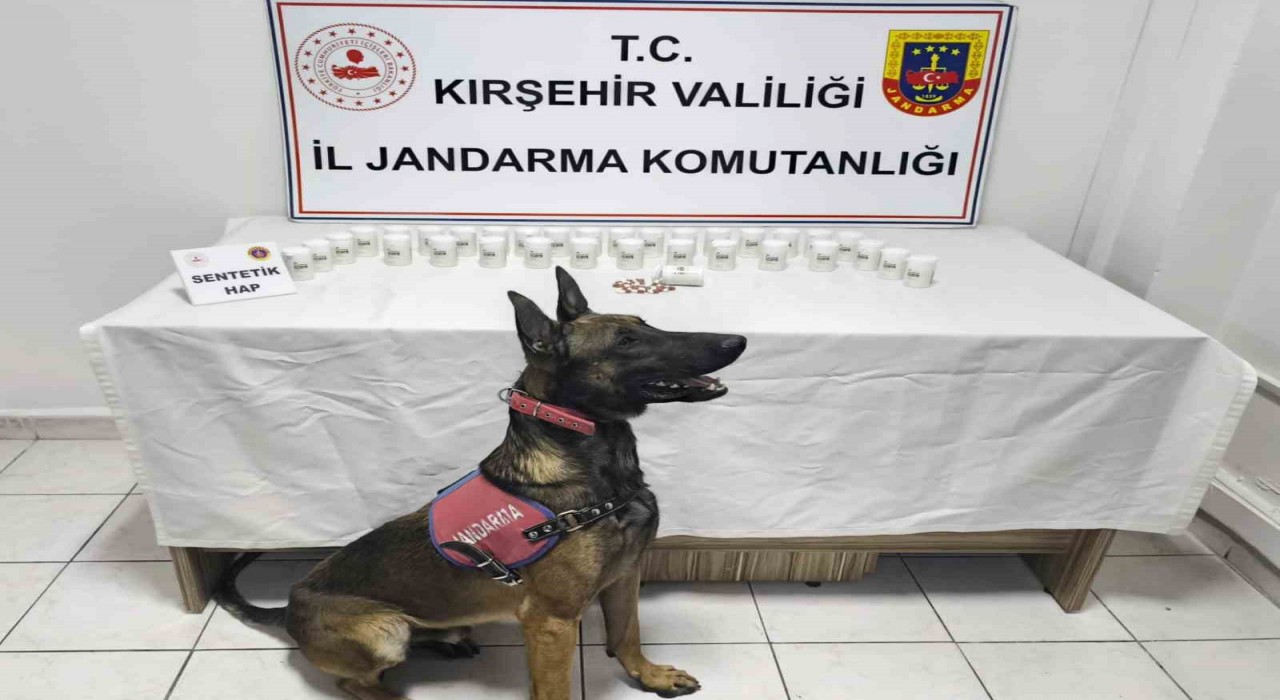 Kırşehirde bin 823 sentetik hap ele geçirildi: 2 gözaltı