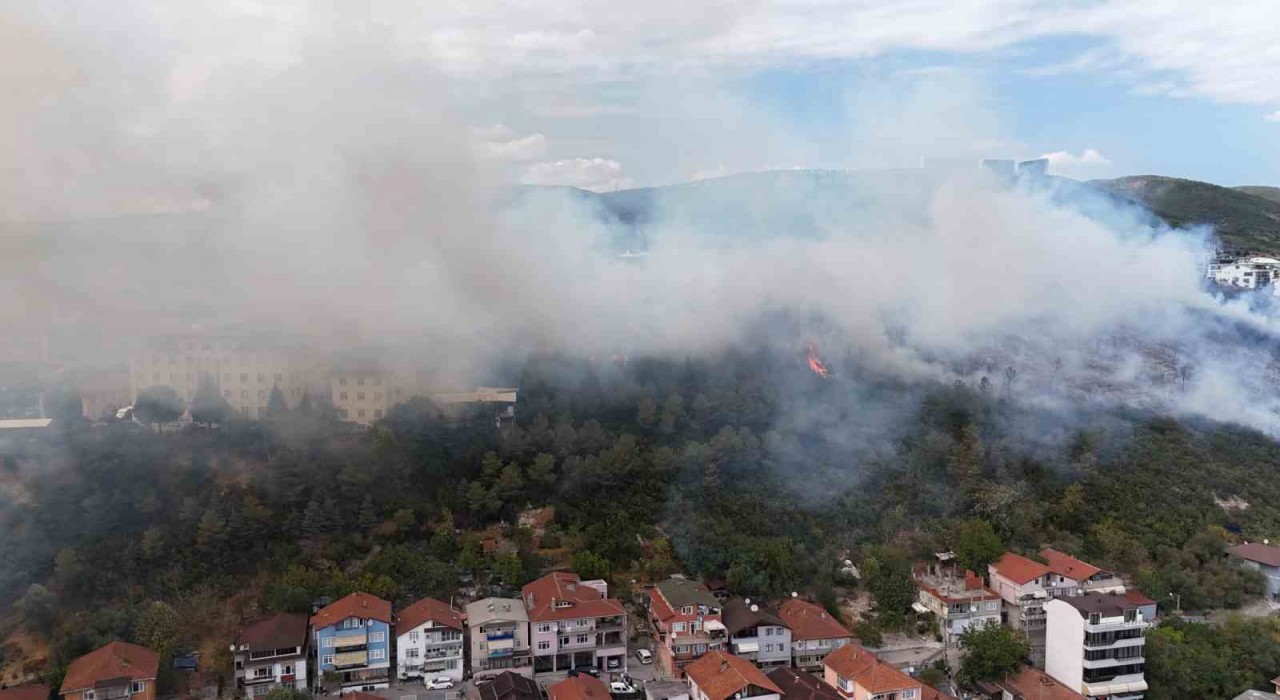 Kocaelide ağaçlık alana sıçrayan yangın kontrol altına alındı