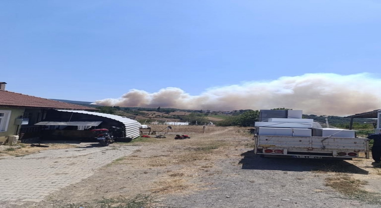 Kocaelide orman yangını başladı