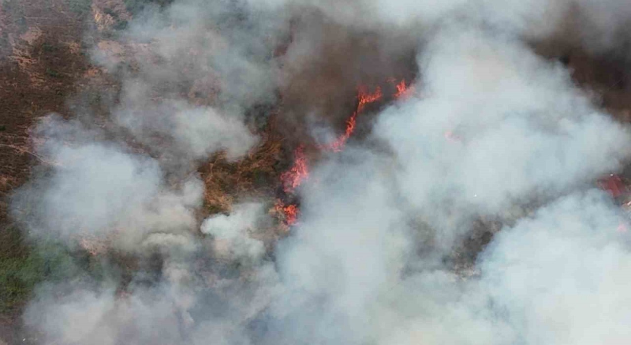 Kocaelide orman yangınına havadan ve karadan müdahale: Alevler evlere de sıçradı