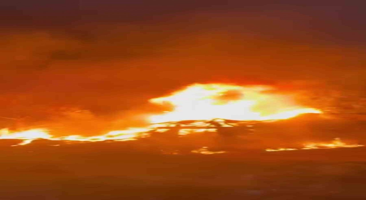 Kocaelide otluk arazide çıkan yangın söndürüldü