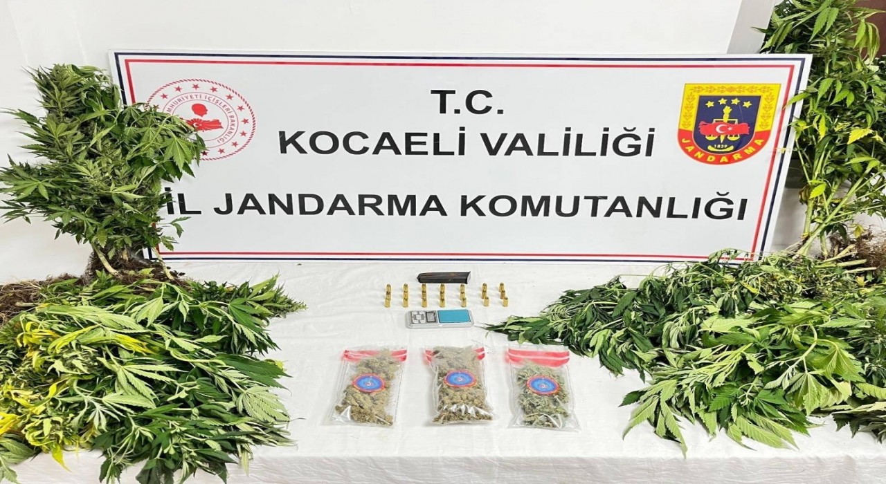 Kocaelide uyuşturucu operasyonlarında 1 şüpheli tutuklandı