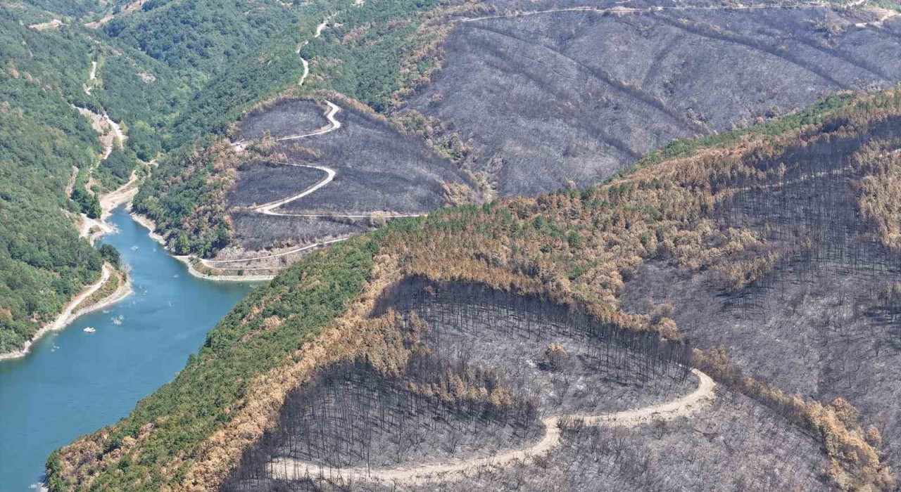 Kocaelide yangın sonrası yürek burkan manzara
