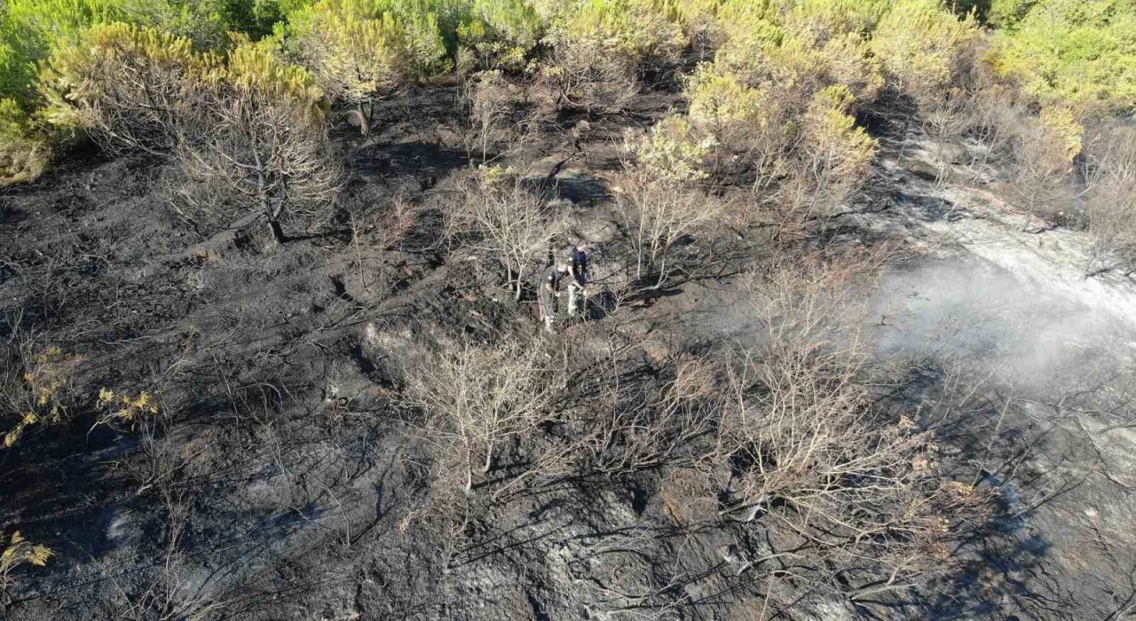 Kocaelideki orman yangını 1 saatlik müdahaleyle kontrol altına alındı