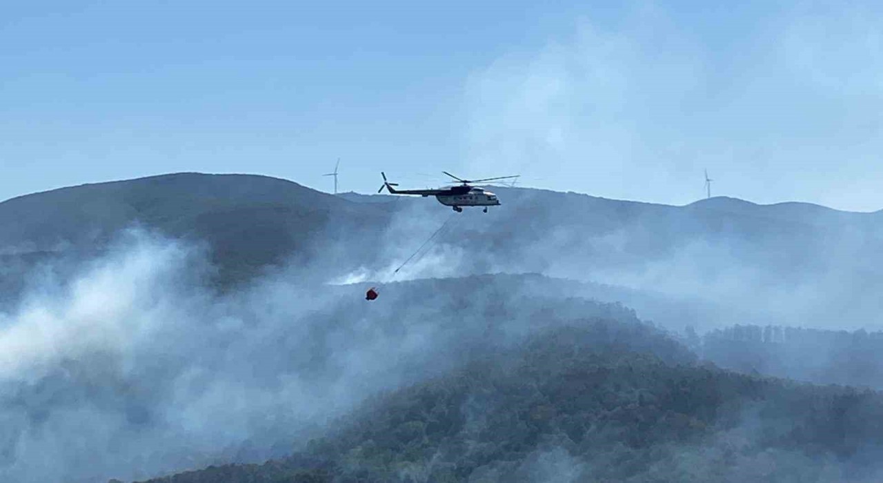 Kocaelideki yangında büyük ölçüde kontrol sağlandı