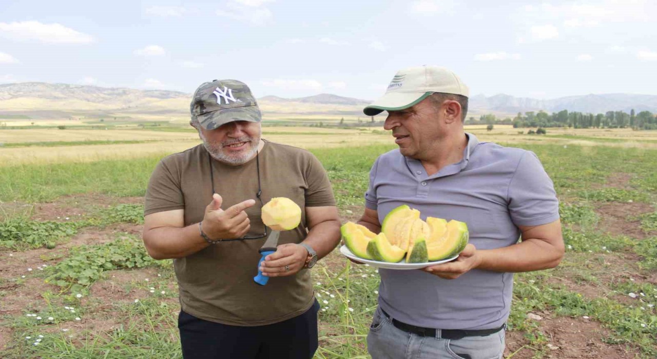 Kokusu, lezzeti, rengiyle farklı bağrıbütün hasadı başladı
