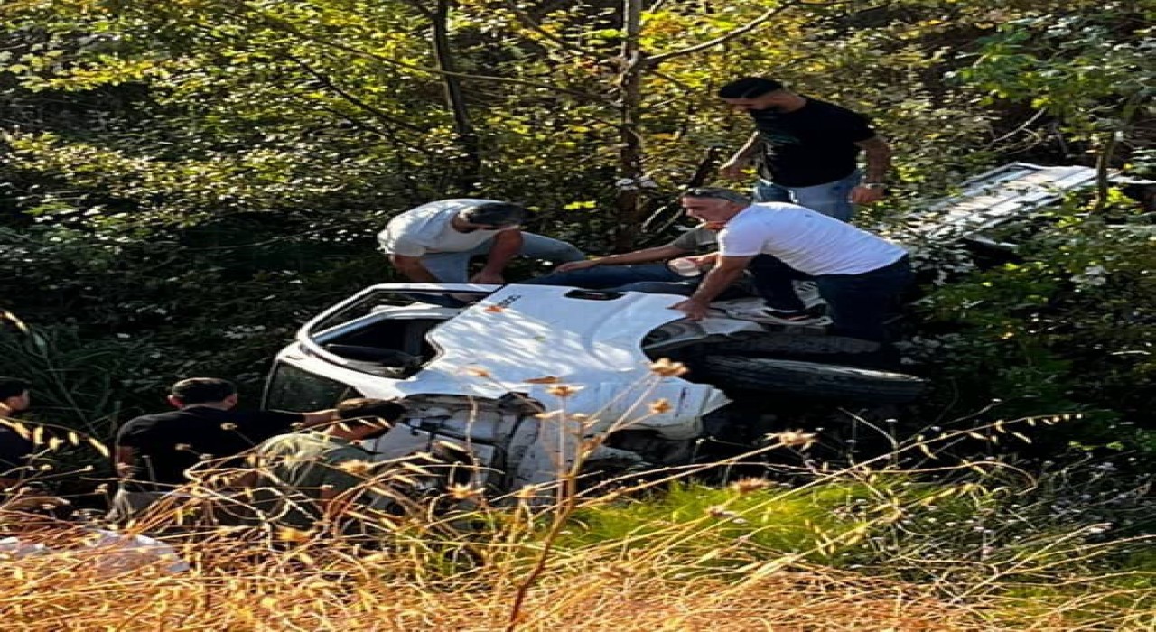 Kontrolden çıkan kamyonet ağaçlık alana uçtu