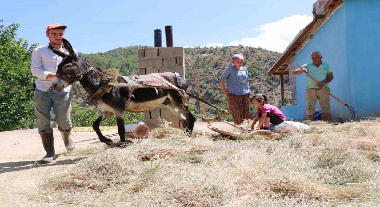 Konyada geleneksel düvenle saman üretimi sürdürülüyor
