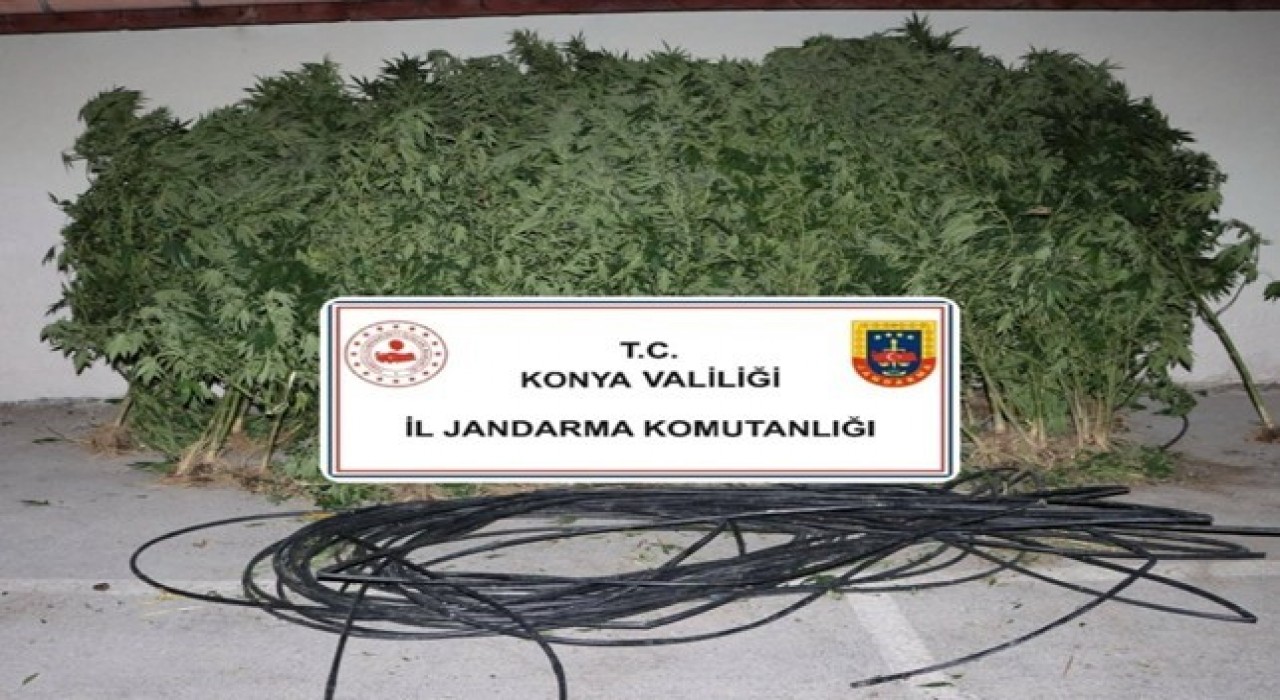 Konyada jandarmadan uyuşturucu ve silah operasyonu