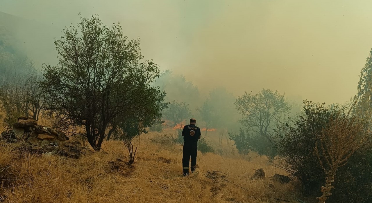 Konyada otluk alandaki yangın ormana sıçramadan söndürüldü