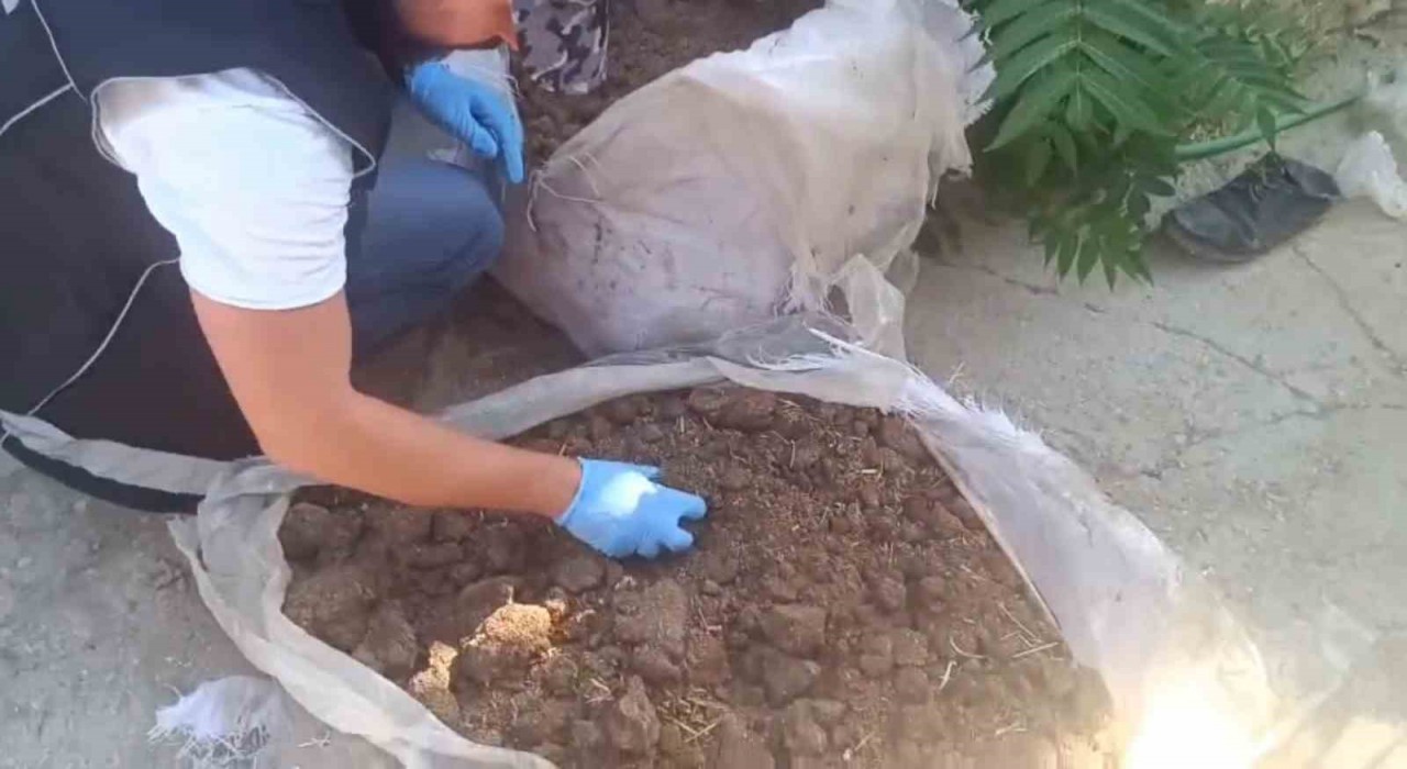 Konyada zehir tacirlerine operasyon: 712 bin hap ve 65 kök kenevir ele geçirildi