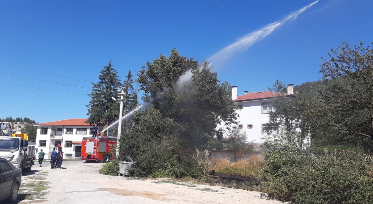 Kopan elektrik telleri yangın çıkarttı