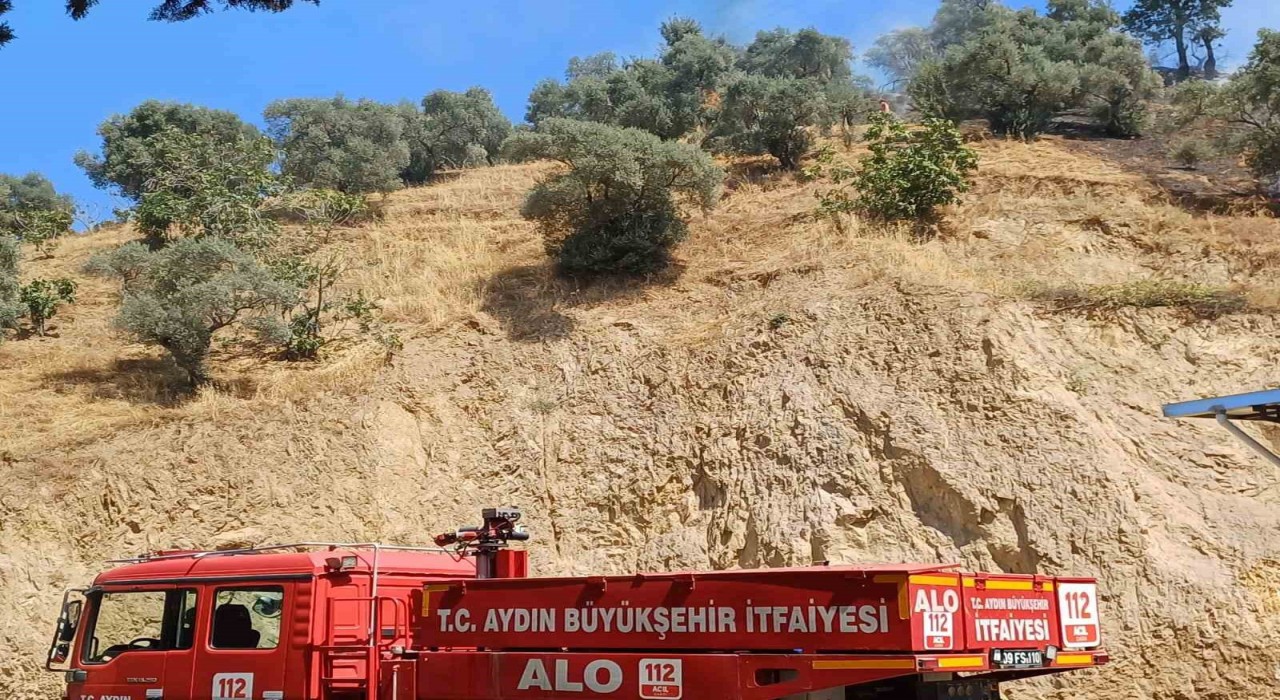 Köşkteki zirai alan yangını kontrol altına alındı