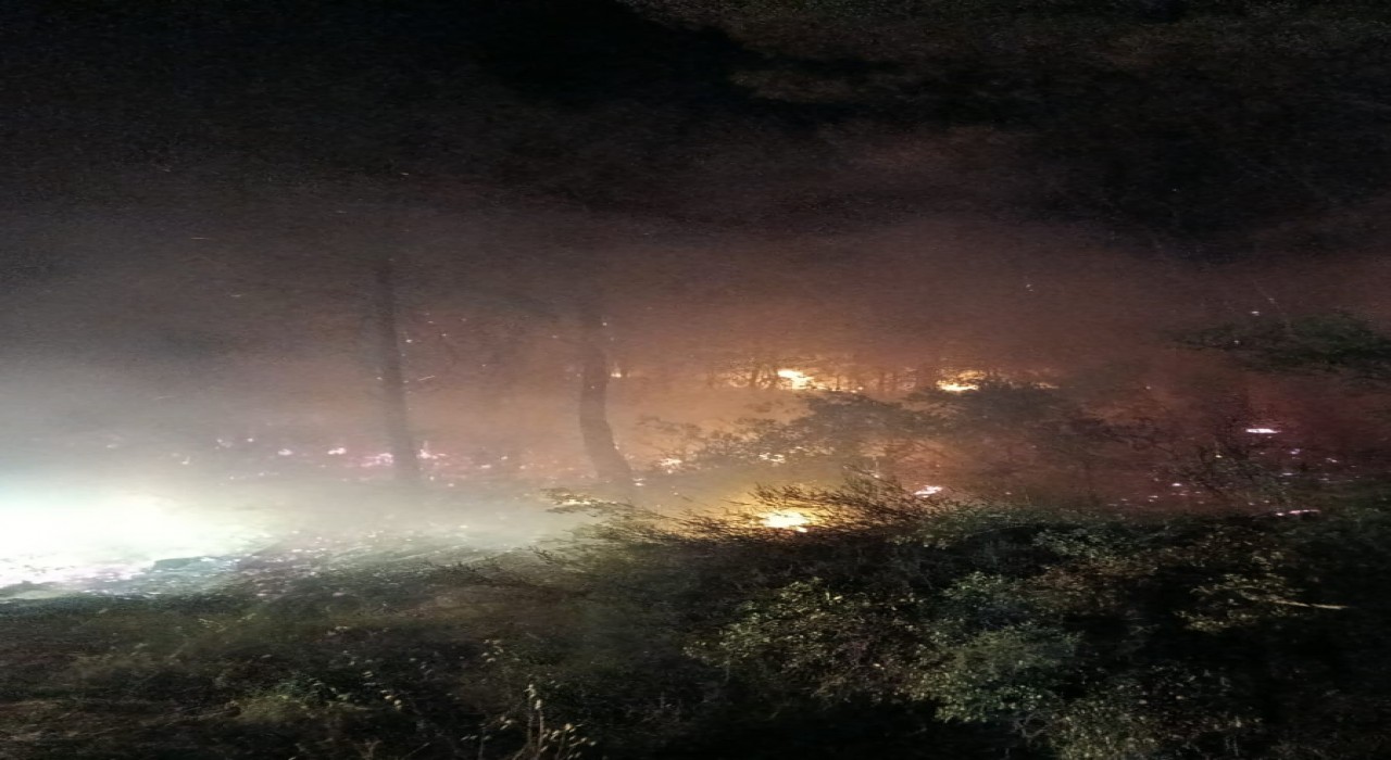 Köyceğizde Orman yangını, ekiplerin hızlı müdahalesi ile yangın kontrol altına alındı