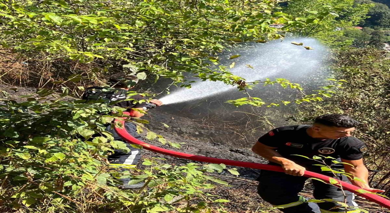 Kozluda anız yangını büyümeden söndürüldü