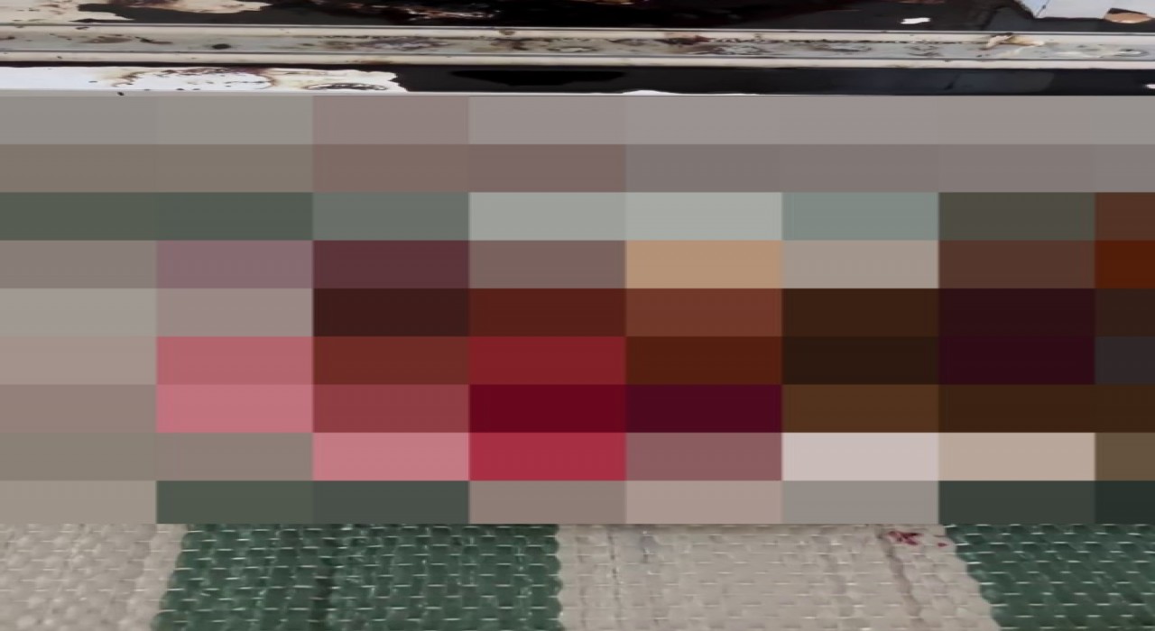 Küçükbaş ve büyükbaş hayvanları katleden şamanizm üyesi paylaşım yaptı, gözaltına alındı