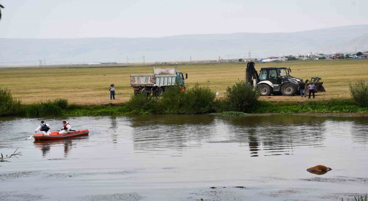 Kura nehrine düşerek boğulan inek can verdi