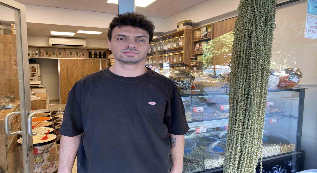 Kurutulmuş çiçek bamyanın altınla yarışan fiyatı düştü