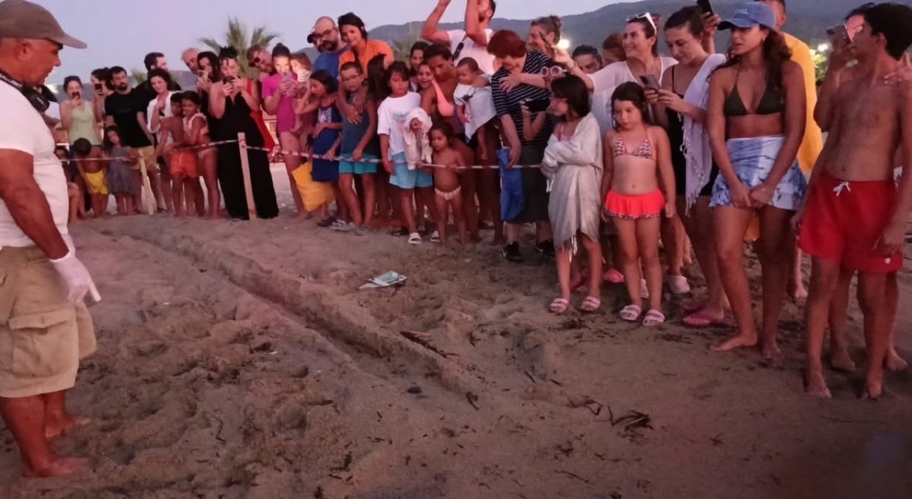 Kuşadasında koruma altındaki yuvadan ilk yavrular denize ulaştı