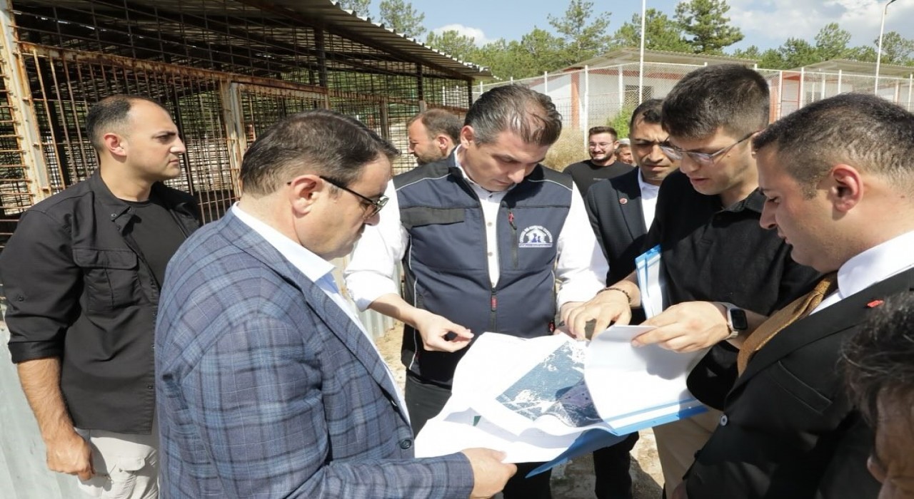 Kütahya Valisi Işın, Sahipsiz hayvanlara yönelik hizmetler toplumsal duyarlılığın bir göstergesidir