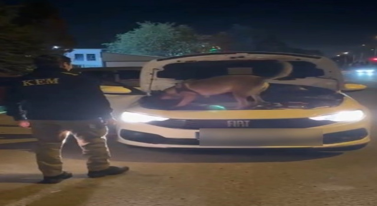 Kütahyada 3,5 kilo kokain ele geçirildi, şüpheli 2 kişi tutuklandı