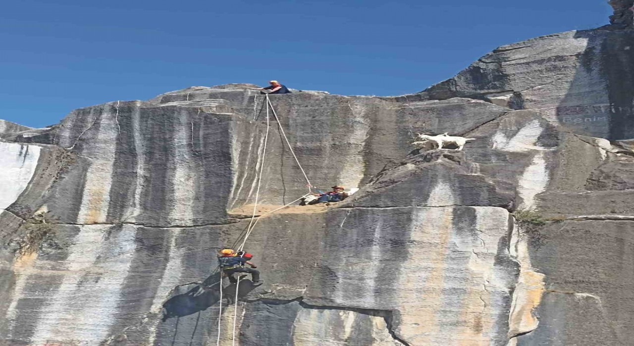 Kütahyada AFADdan keçi kurtarma operasyonu