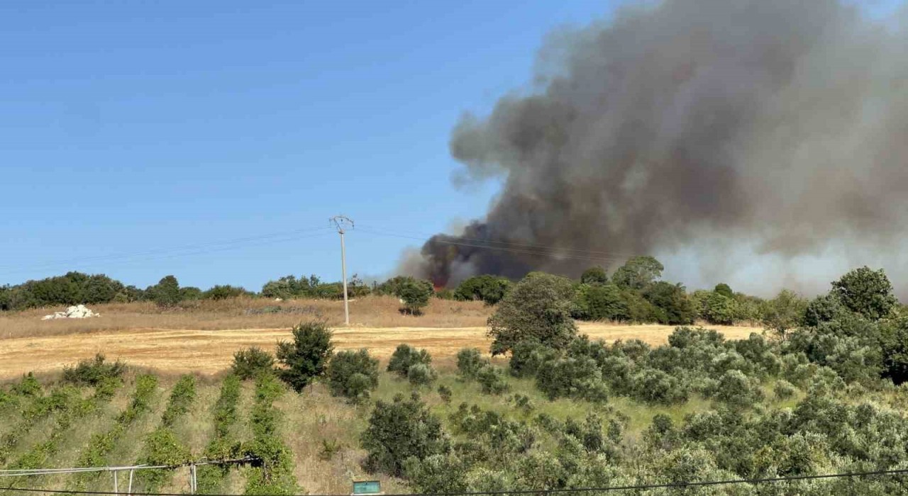 Lapsekideki orman yangınını söndürme çalışmaları sürüyor