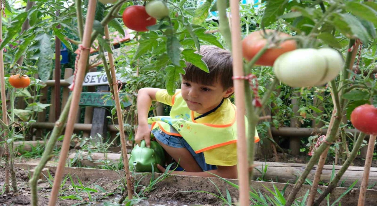 Lokomotif Çocuk Köyünde hasat zamanı