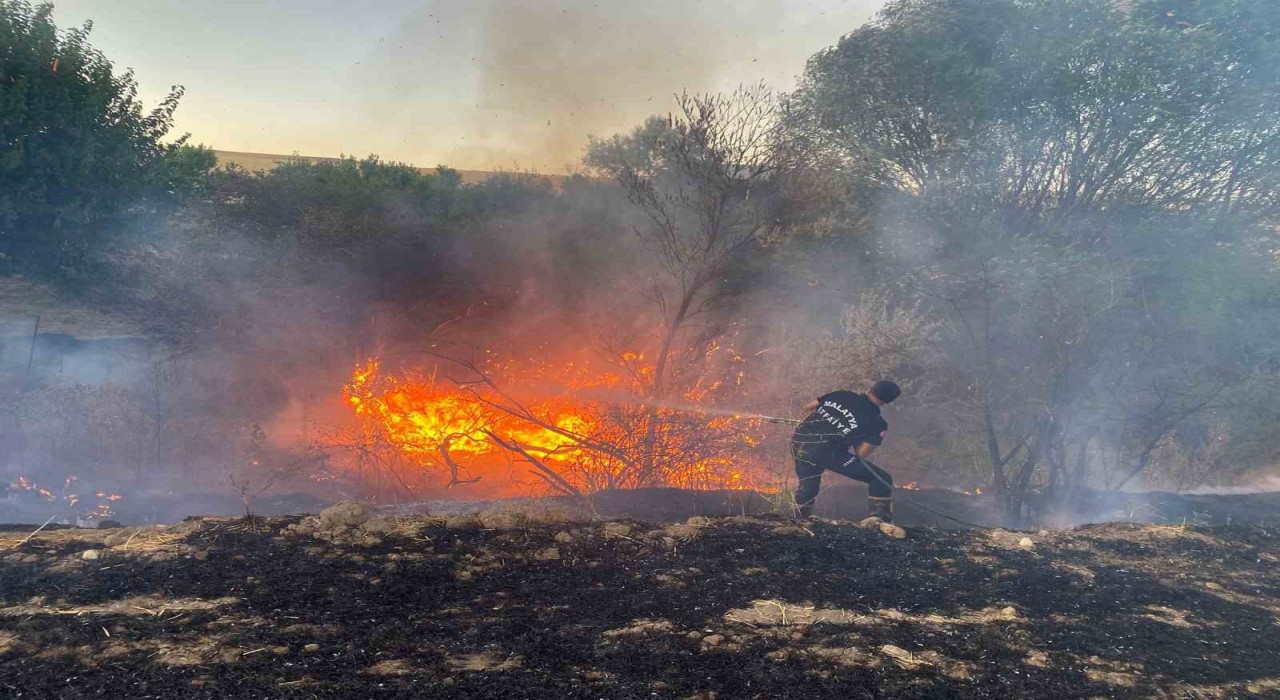 Malatyada anız yangınında 50 dönümlük arazi zarar gördü