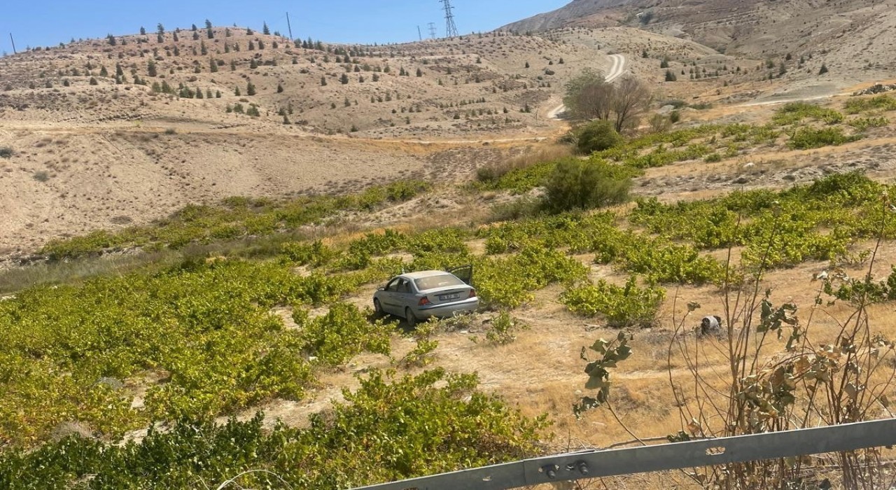 Malatyada kontrolden çıkan araç üzüm bağına uçtu: 2 yaralı