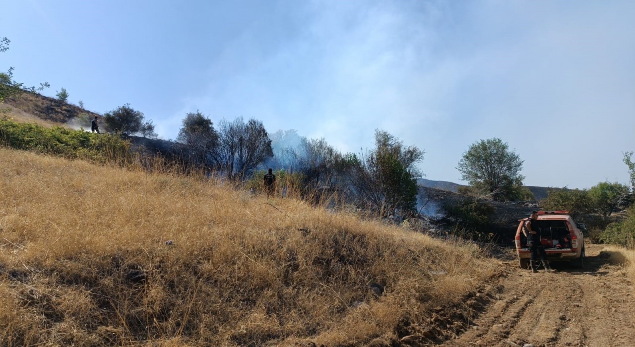 Malatyadaki orman yangını kontrol altına alındı