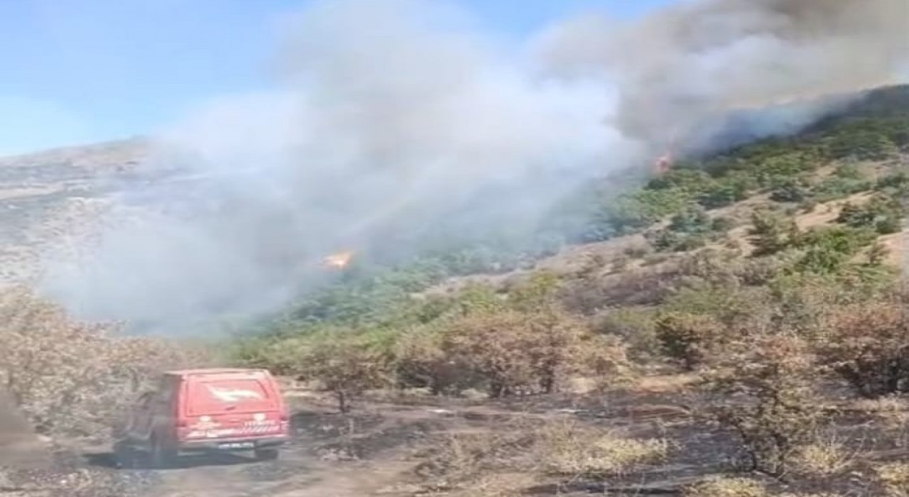 Malatyadaki orman yangını söndürüldü