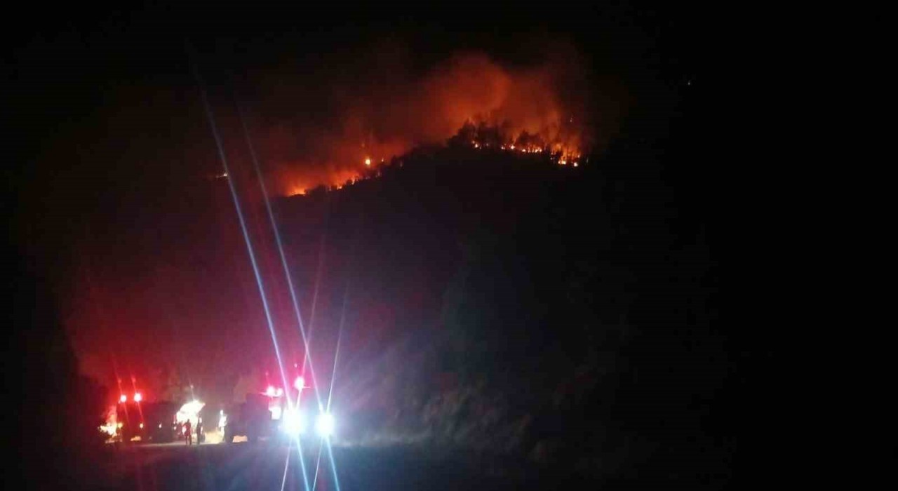 Malatyadaki orman yangını sürüyor