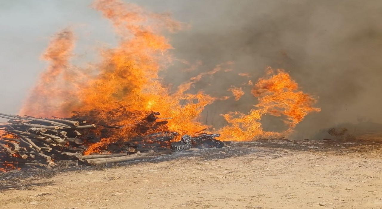 Malatyanın Doğanyol ilçesinde orman yangını