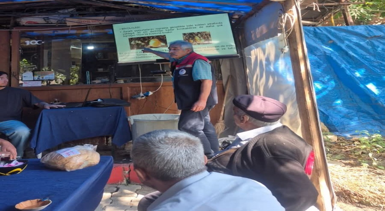 Malkarada çiftçilere Batı Mısır kök kurdu zararlısı hakkında eğitim verildi