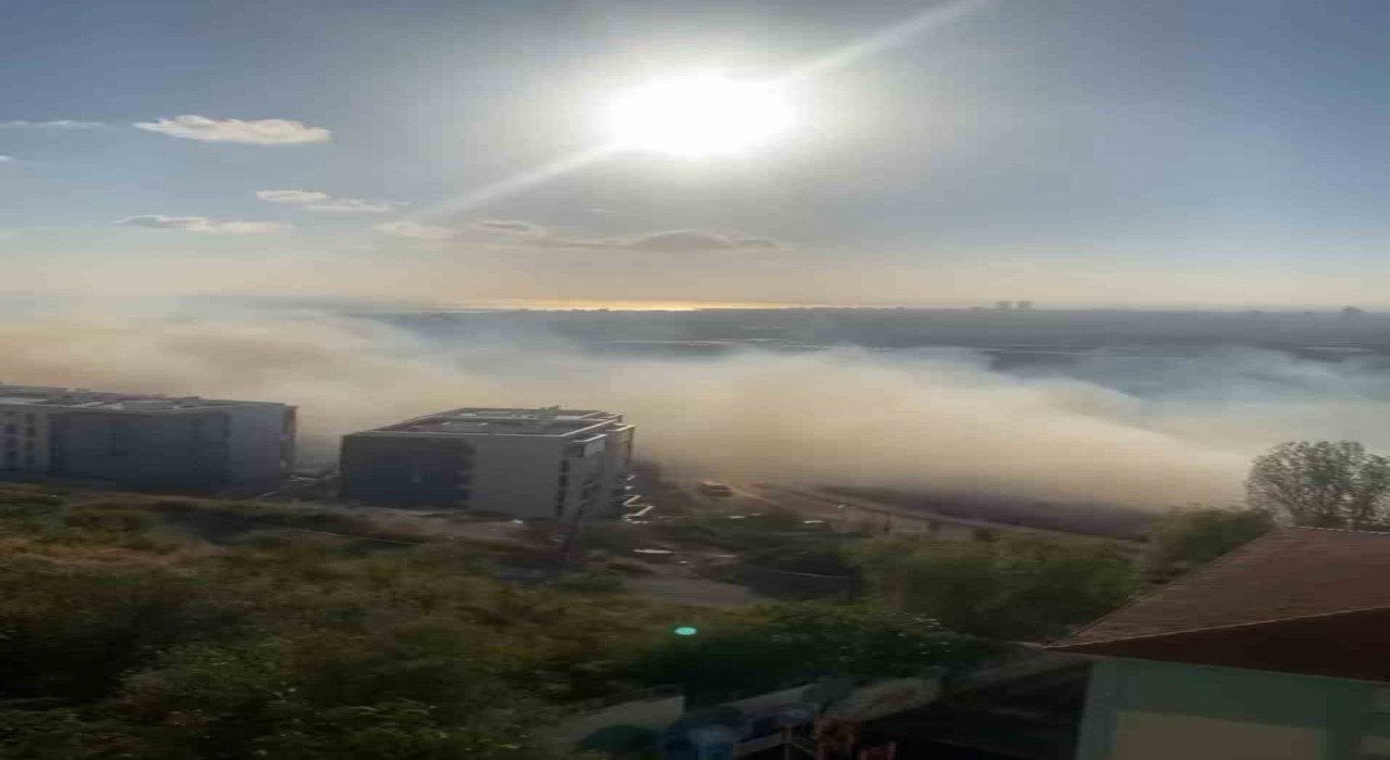 Maltepede geniş arazi yangını