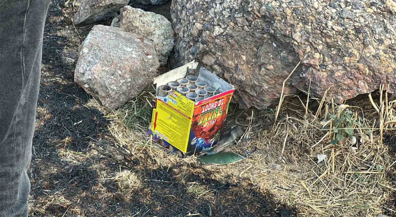 Maltepede ormana yakın noktada atılan havai fişek yangın çıkardı