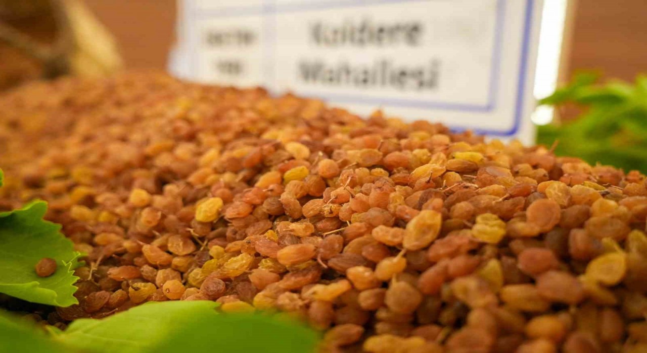 Manisada borsaya gelen yılın ilk kuru üzümü 3 bin 500 TLden alındı