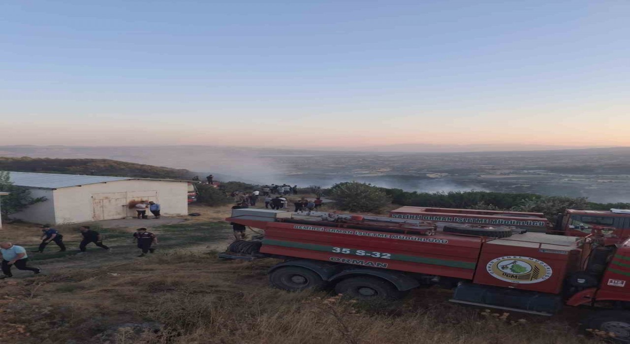 Manisada orman yangını