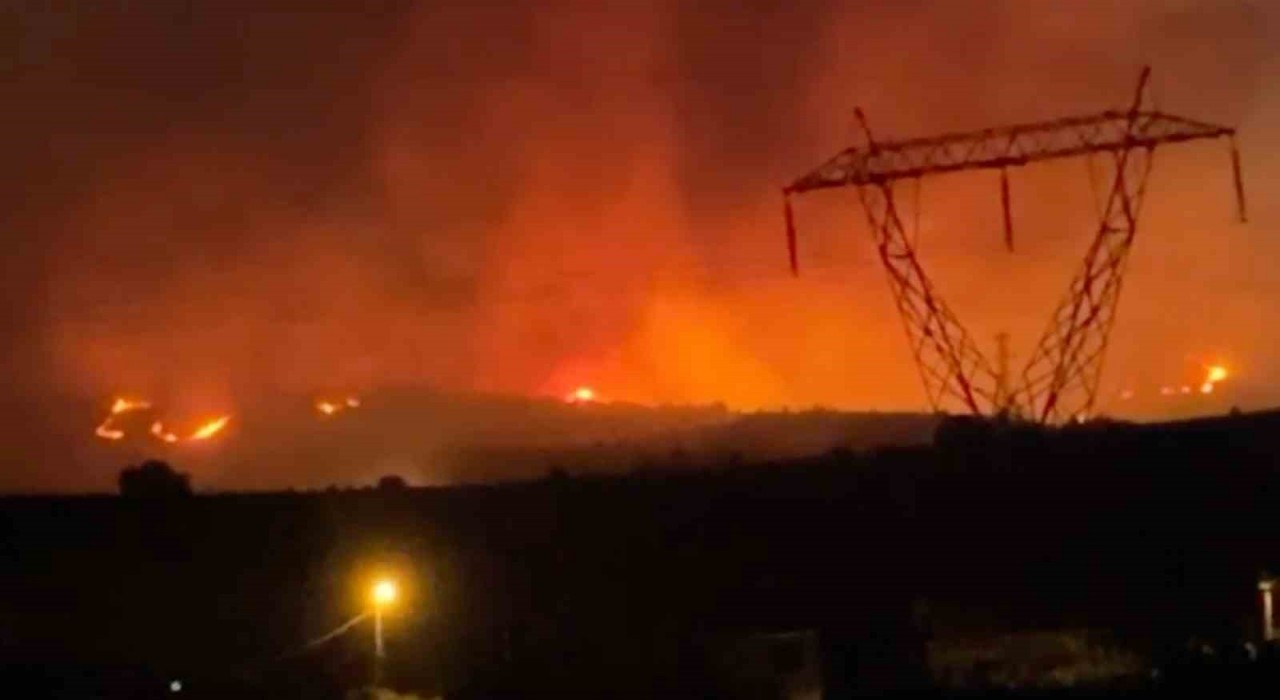 Manisadaki orman yangınına müdahale sürüyor